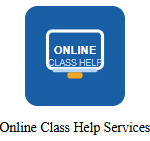 USA Online Class Help