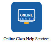 USA Online Class Help